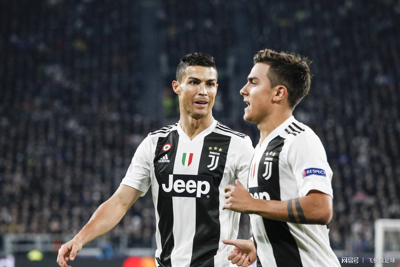 区与后场篮 区与后场篮